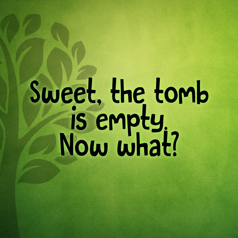 Sweet! The tomb is empty. Now what?