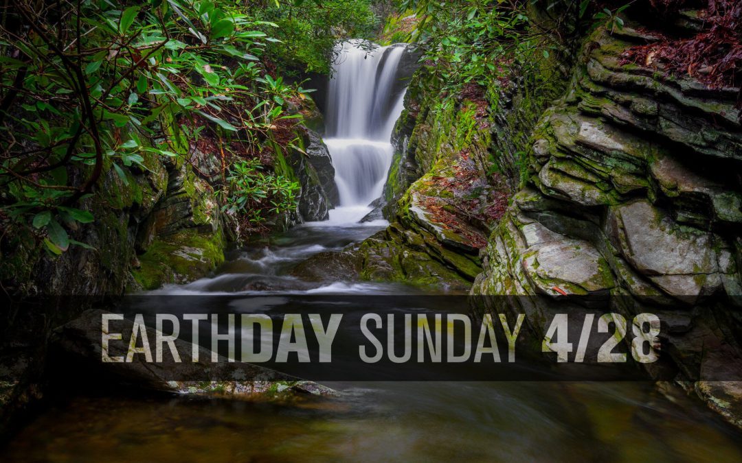 Earth Day Sunday 2019