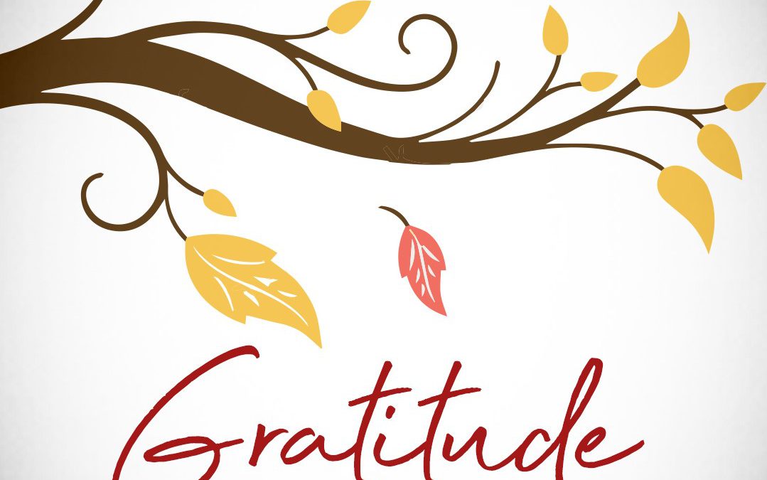 Gratitude – Part Four – The Myth of Emotions